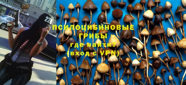спиды Абдулино