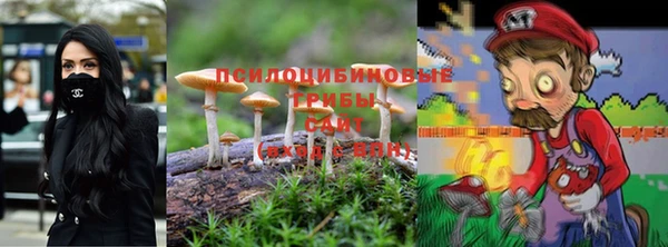 спиды Абдулино